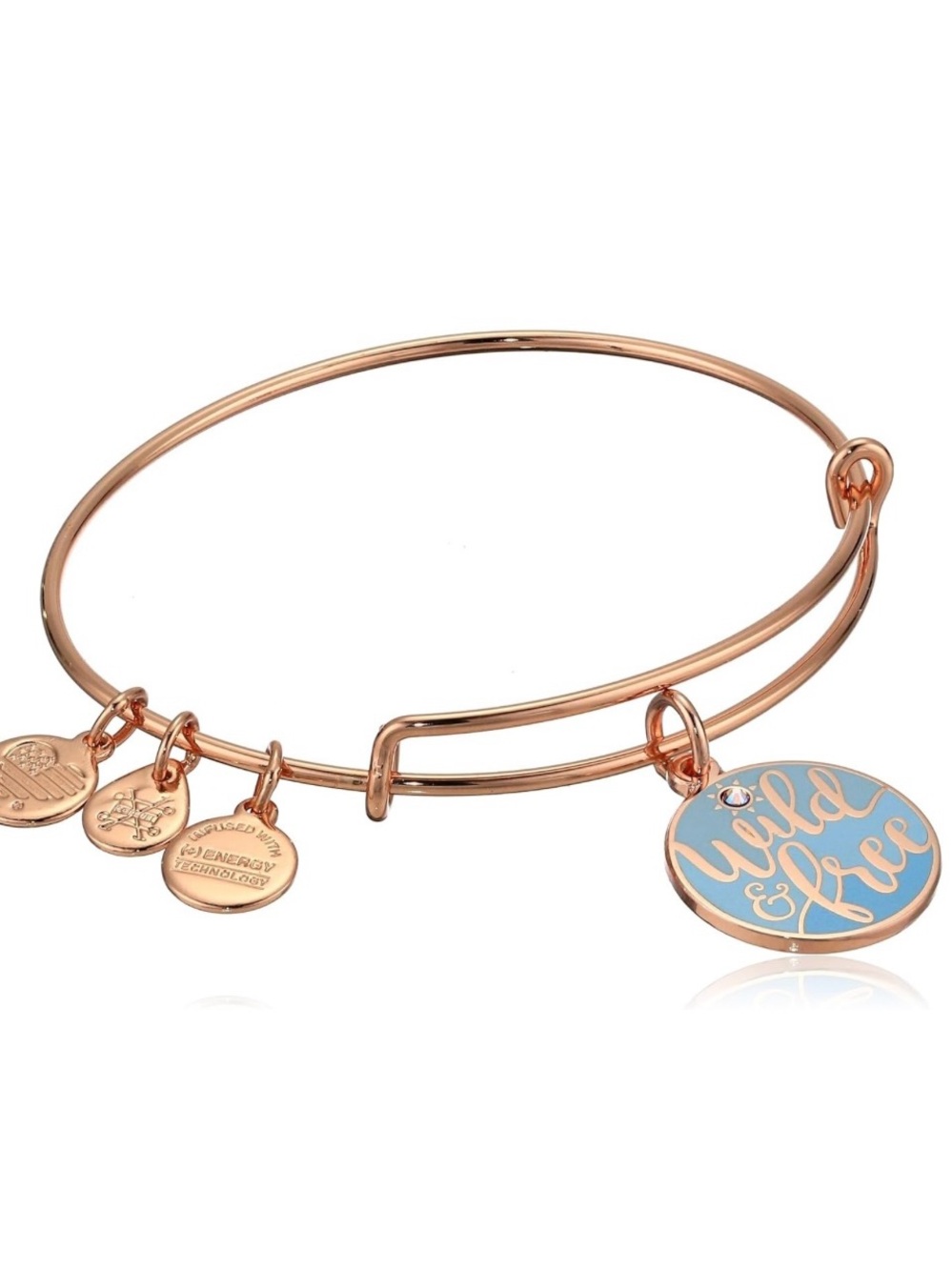 Alex and Ani 'Wild & Free' Charm Bangle Bracelet - Rose Gold